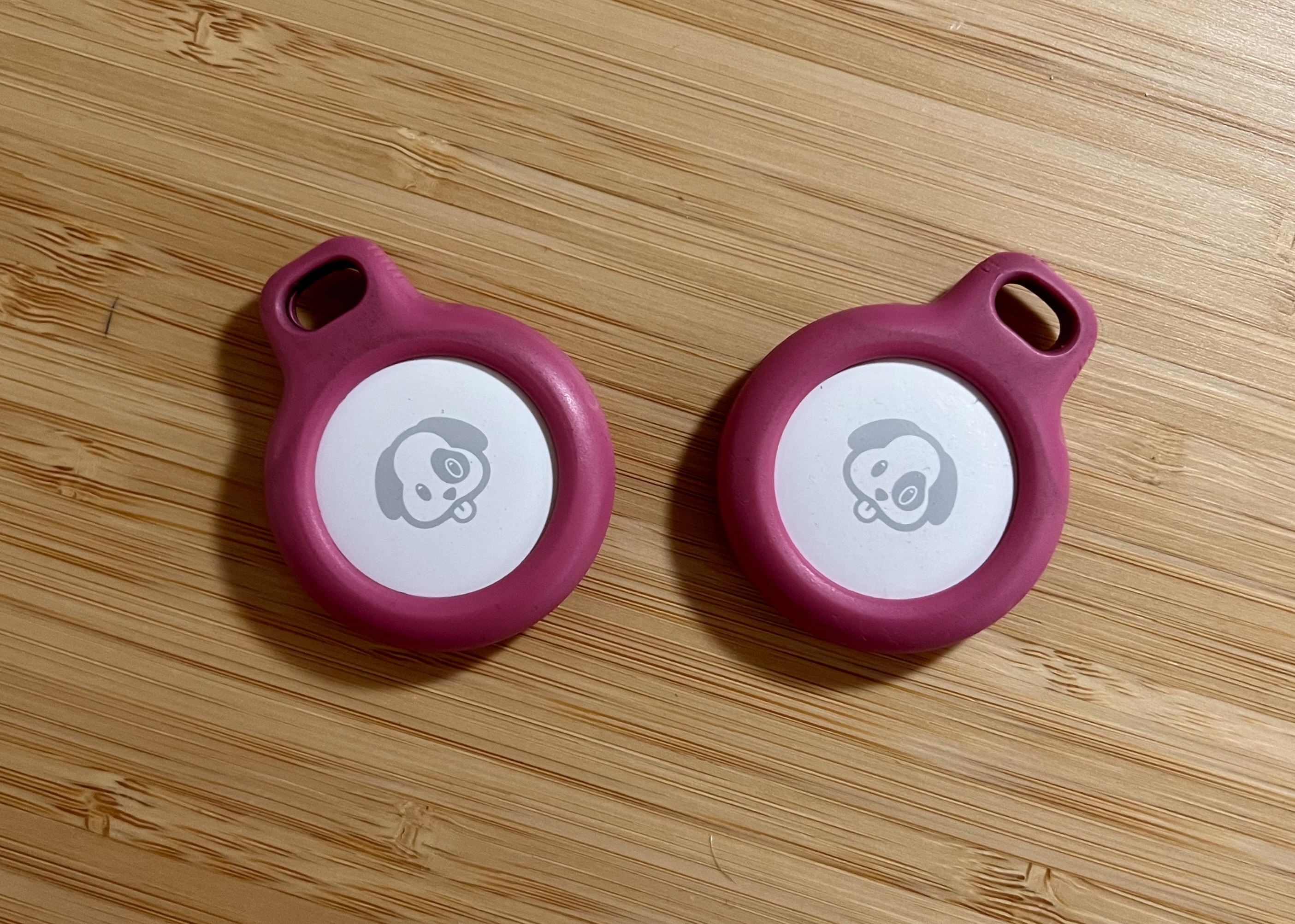 Two Apple AirTags in keyring cases