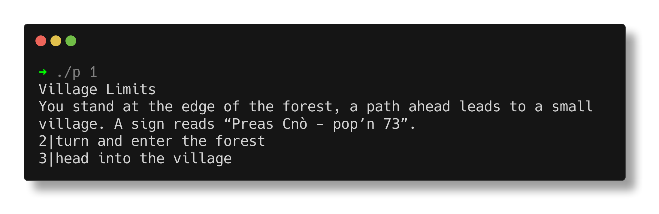 A screenshot of the result of running the command <code>./p 1</code>